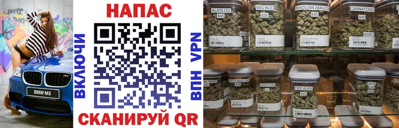 MEGA ТОР  купить закладку  Южно-Сухокумск  Шишки марихуана индика 